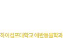 hicomp int